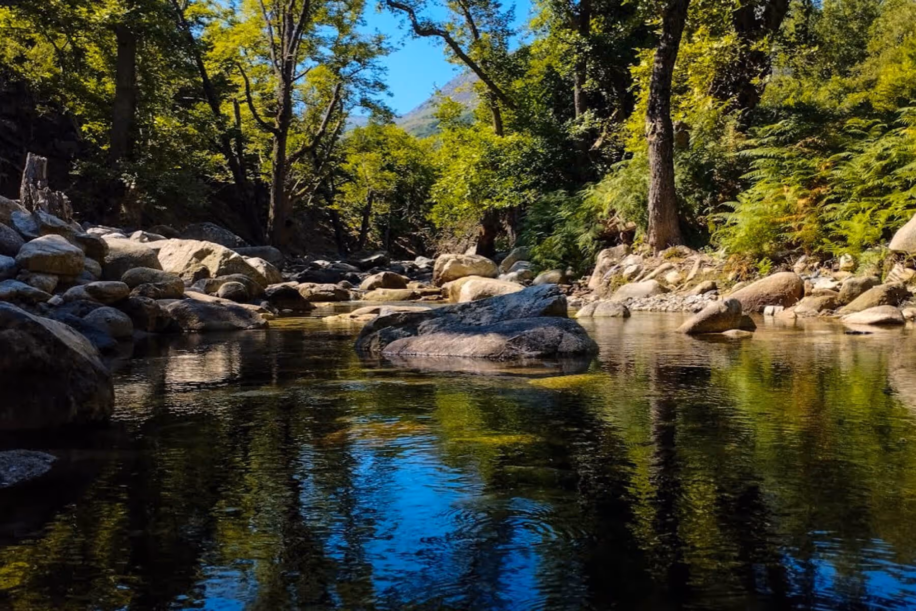 Samothraki Spring: The season of rebirth (March - May)