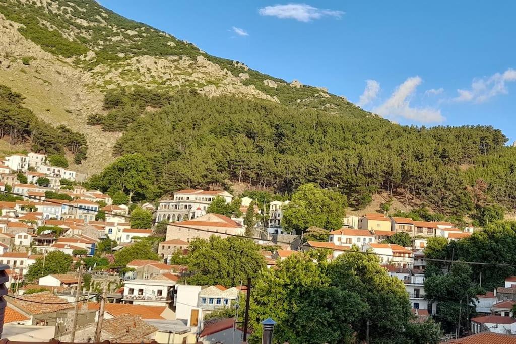 4 Season Cozy Home, φωτογραφία 6