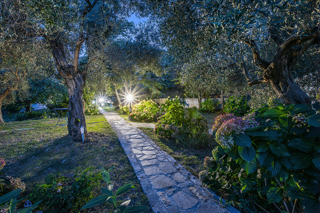 Alekas Studios, φωτογραφία 13