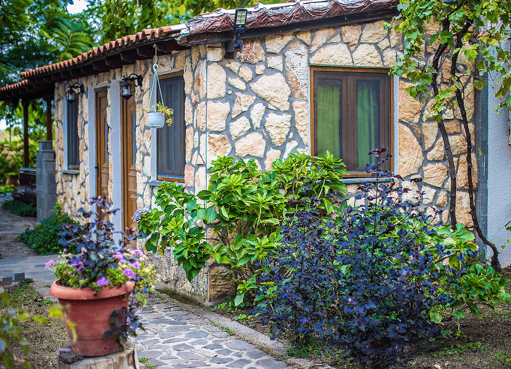 Alekas Studios, φωτογραφία 7