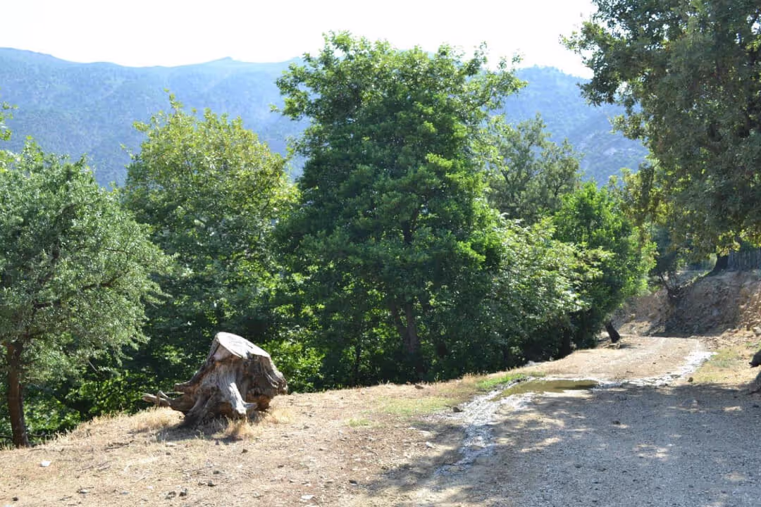 Χωριό Άνω Μεριά, φωτογραφία 5