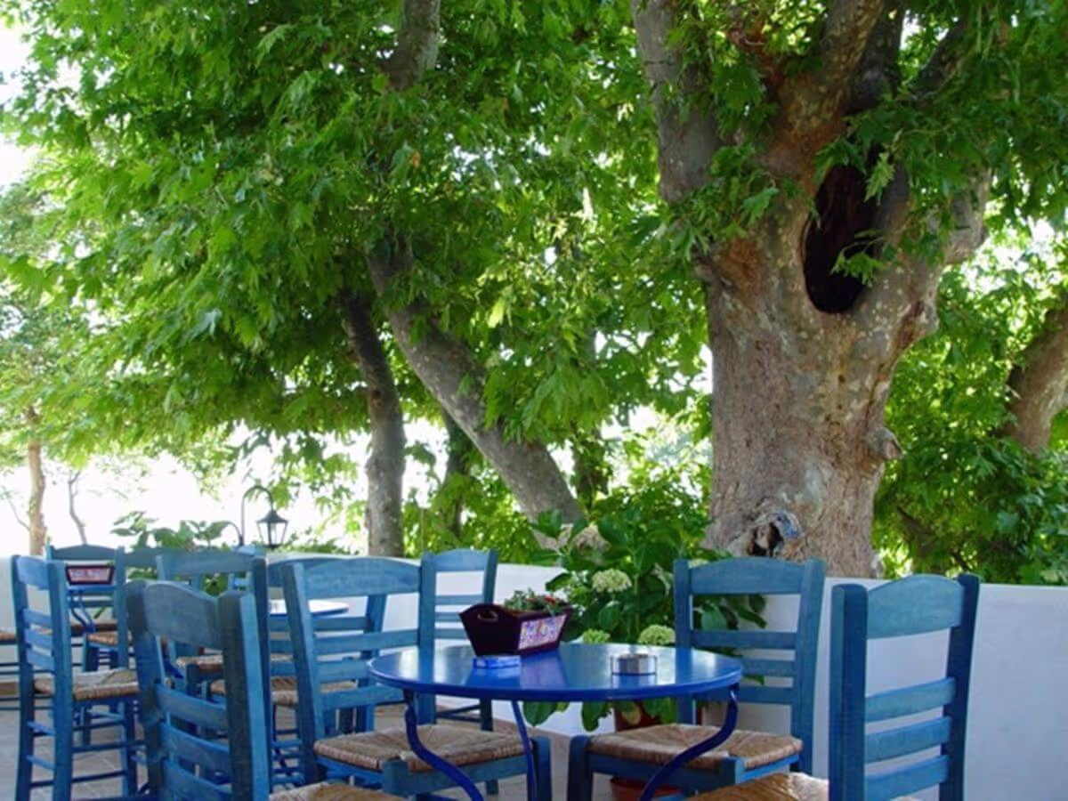 Archondissa Beach Aparthotel, φωτογραφία 3