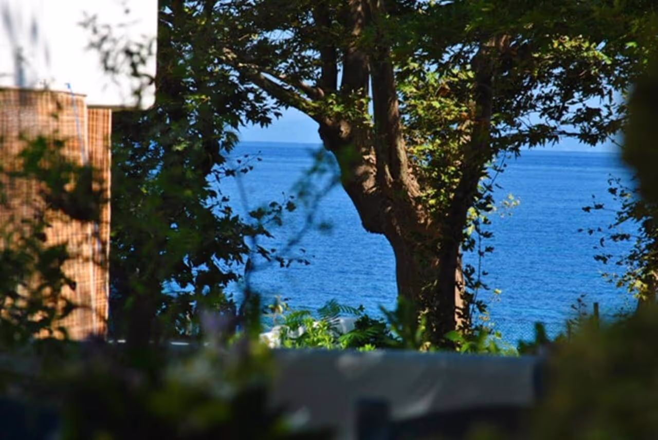 Archondissa Beach Aparthotel, φωτογραφία 4