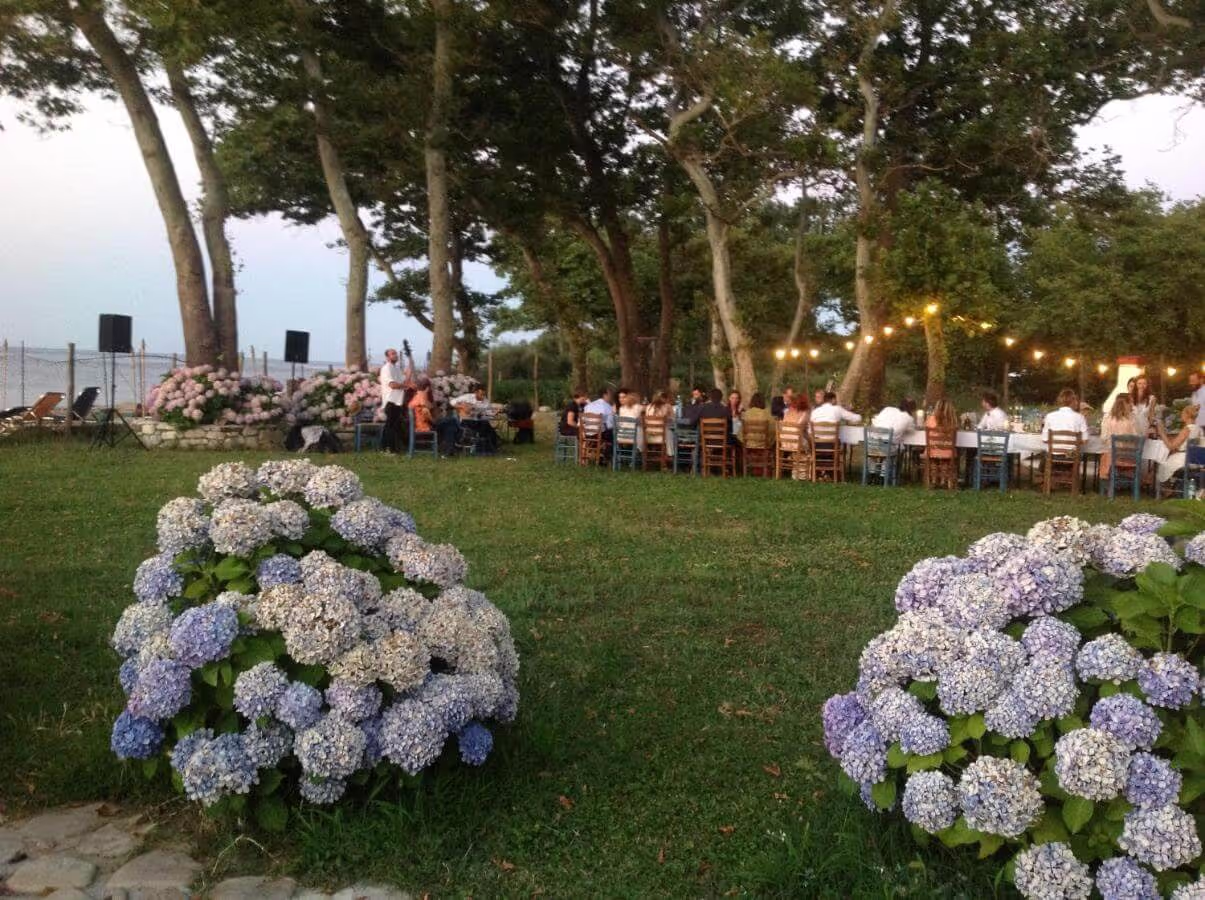 Archondissa Beach Aparthotel, φωτογραφία 9