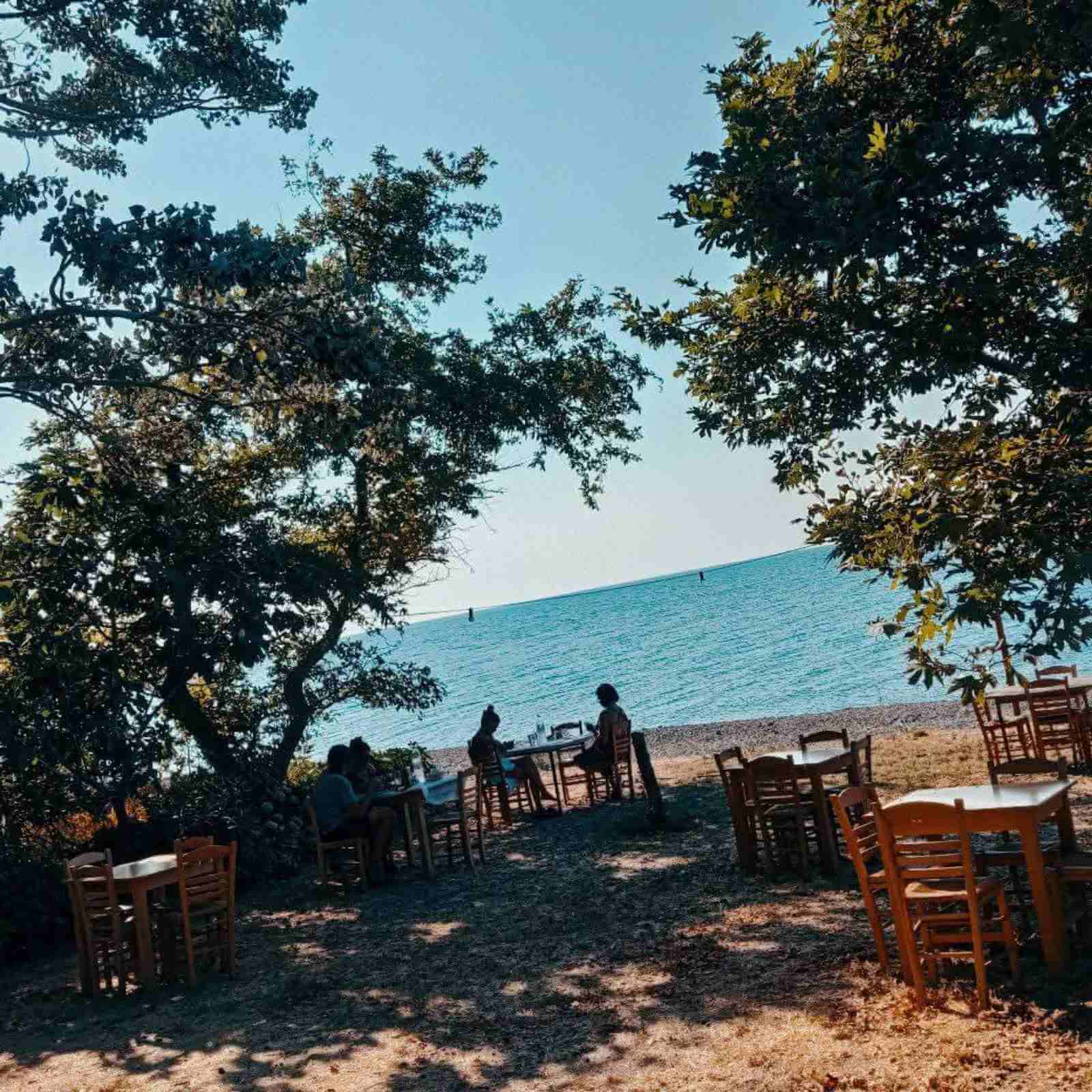 Argo, φωτογραφία 3