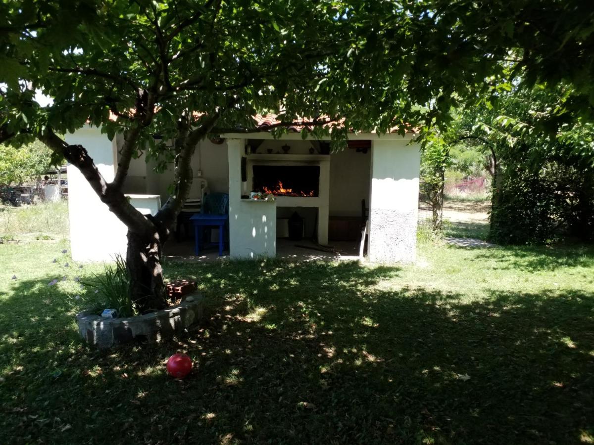 Athanasios Stafylas, φωτογραφία 14