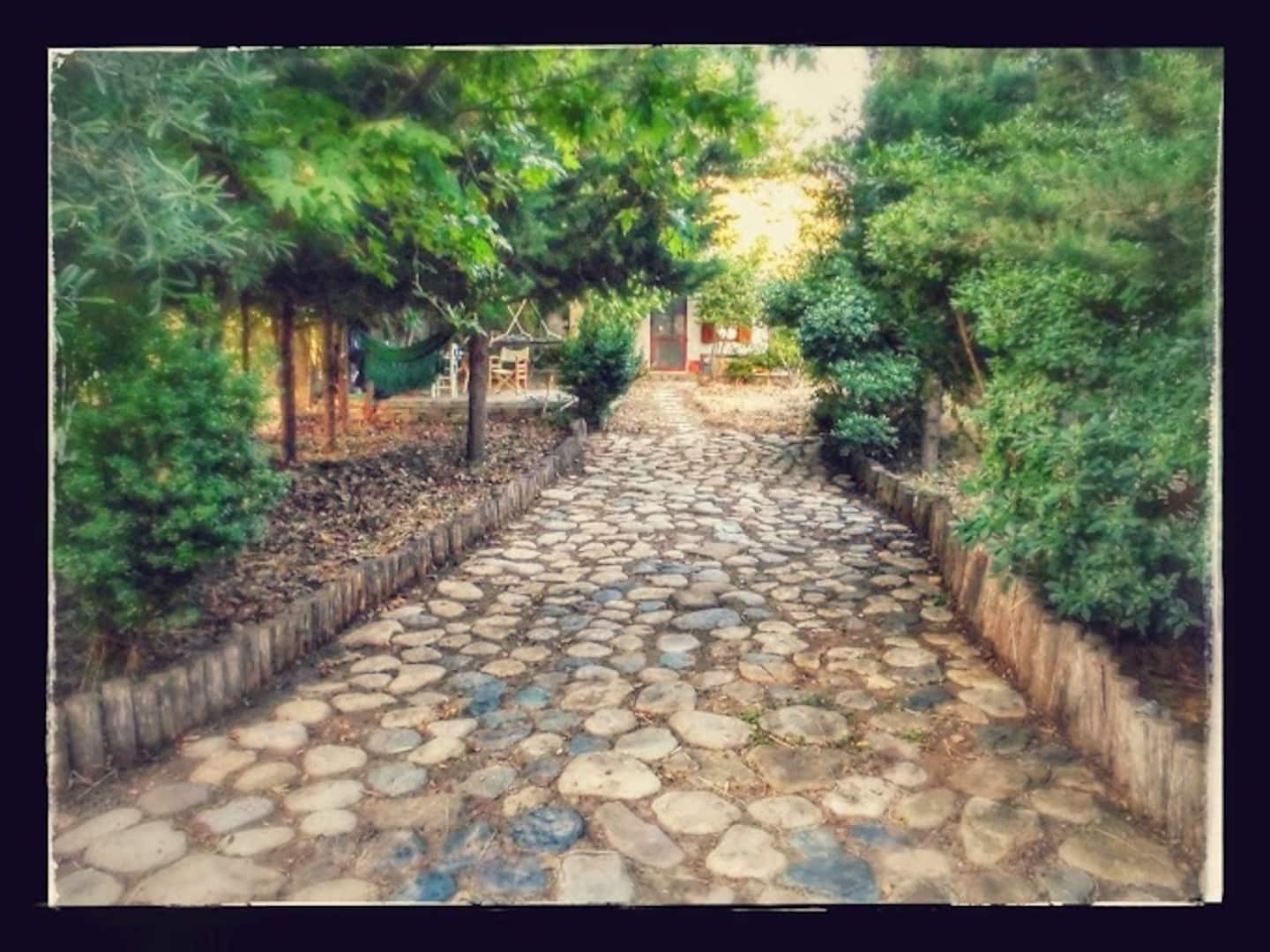 Chalet Bungalow, φωτογραφία 6