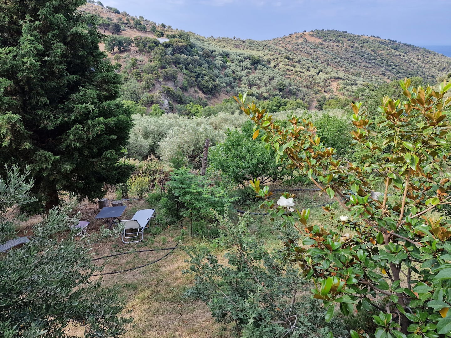 Εξοχικό 2 υπνοδωματίων κοντά σε Αλώνια, φωτογραφία 12