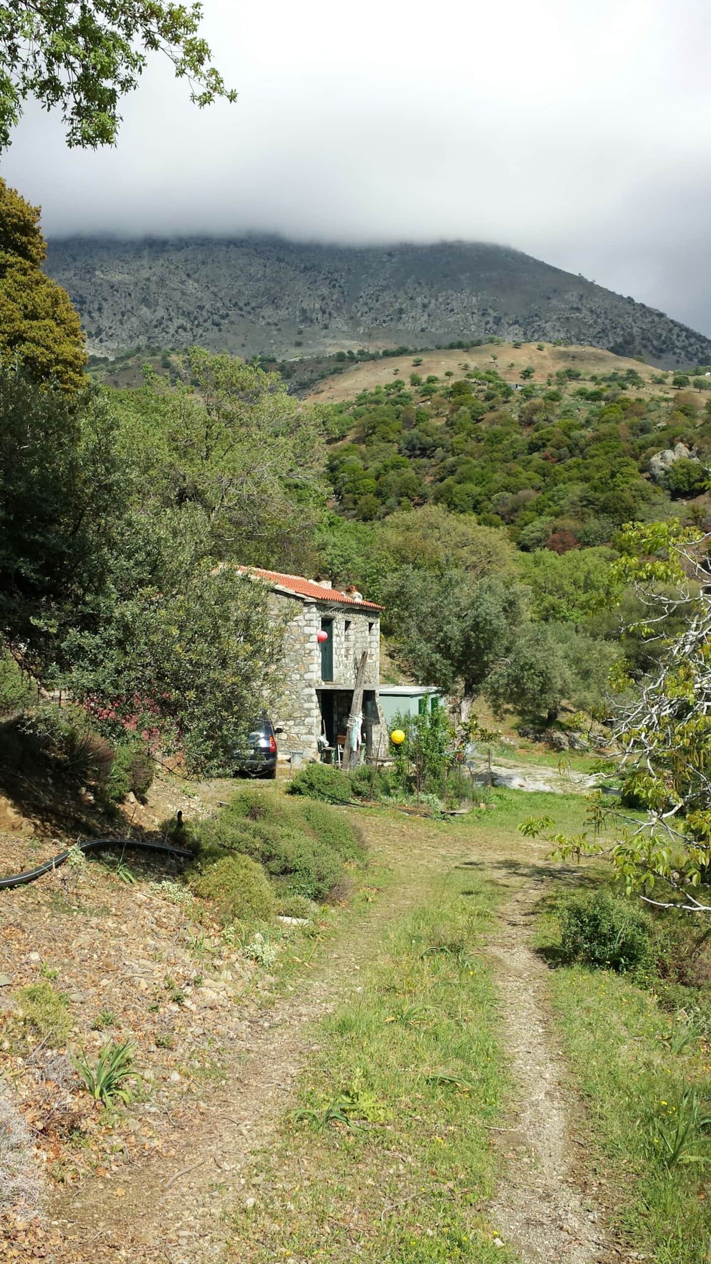 Εξοχικό 2 υπνοδωματίων κοντά σε Αλώνια, φωτογραφία 9