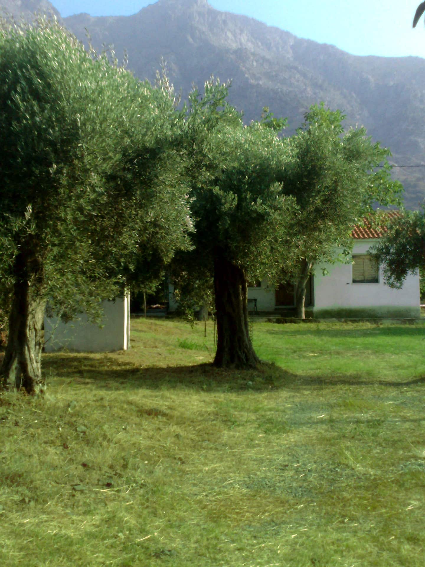 Cottage house, φωτογραφία 12