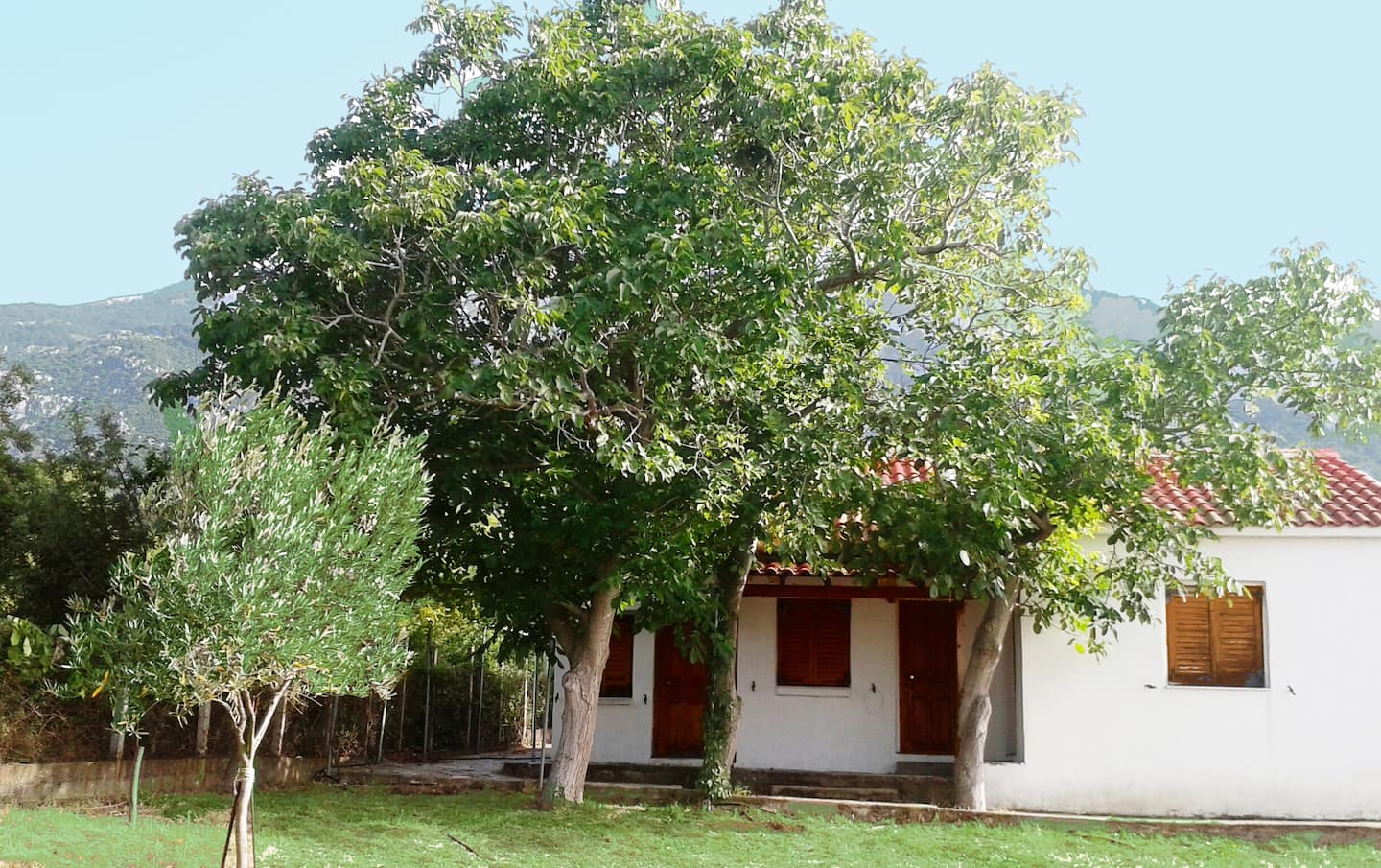 Cottage house, φωτογραφία 6