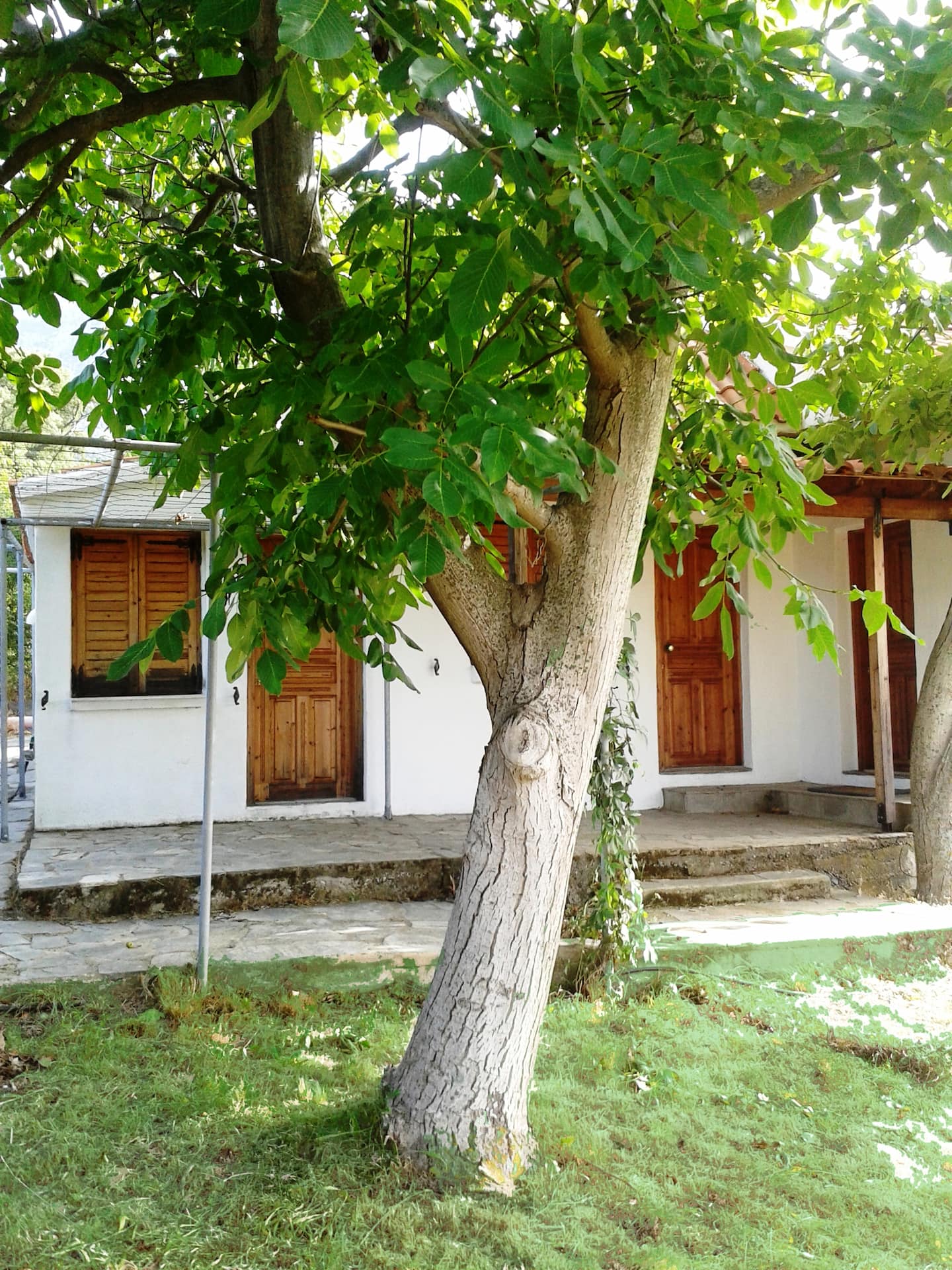 Cottage house, φωτογραφία 10
