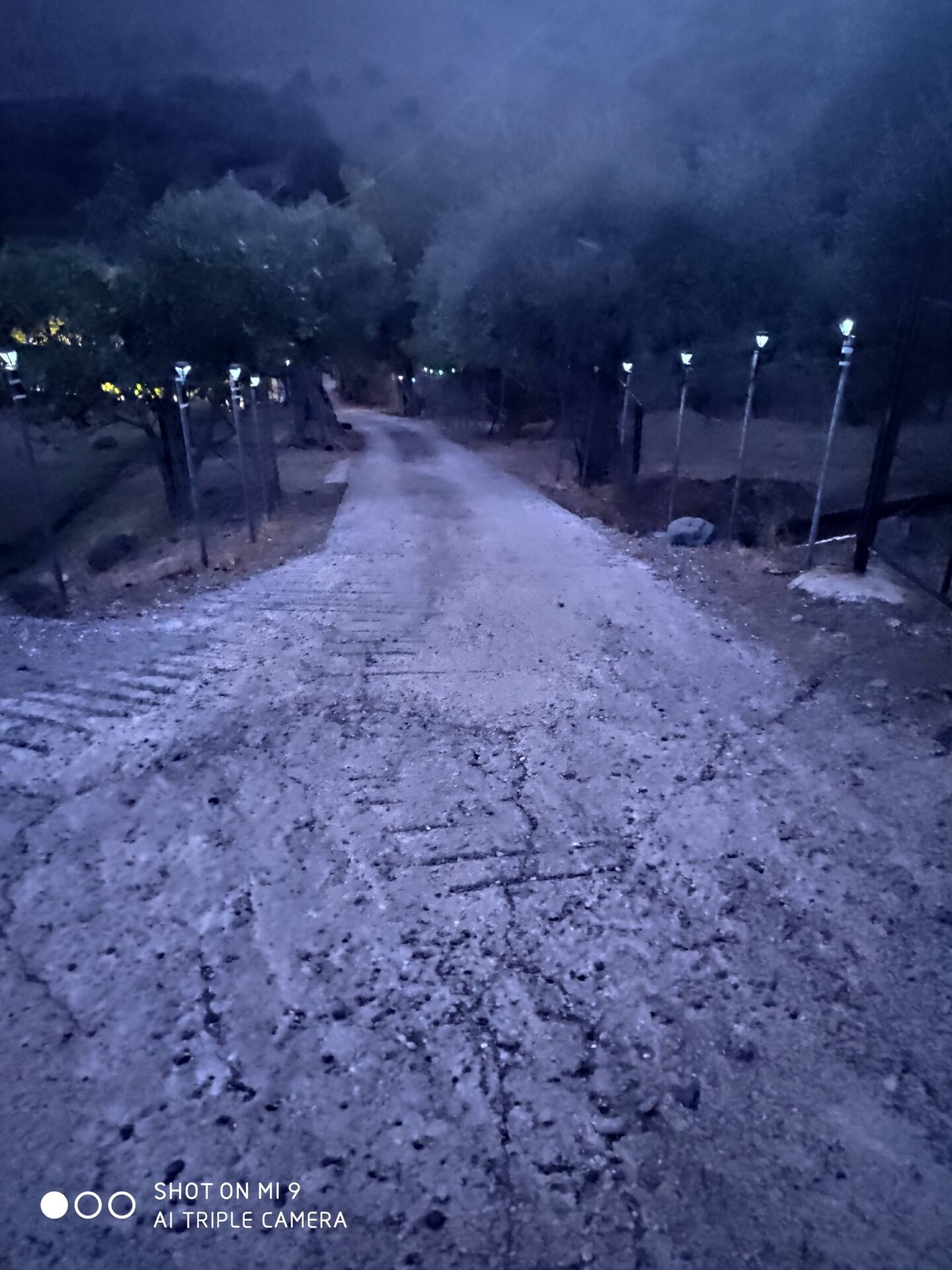 Fanis & Xenia's Residence, φωτογραφία 14