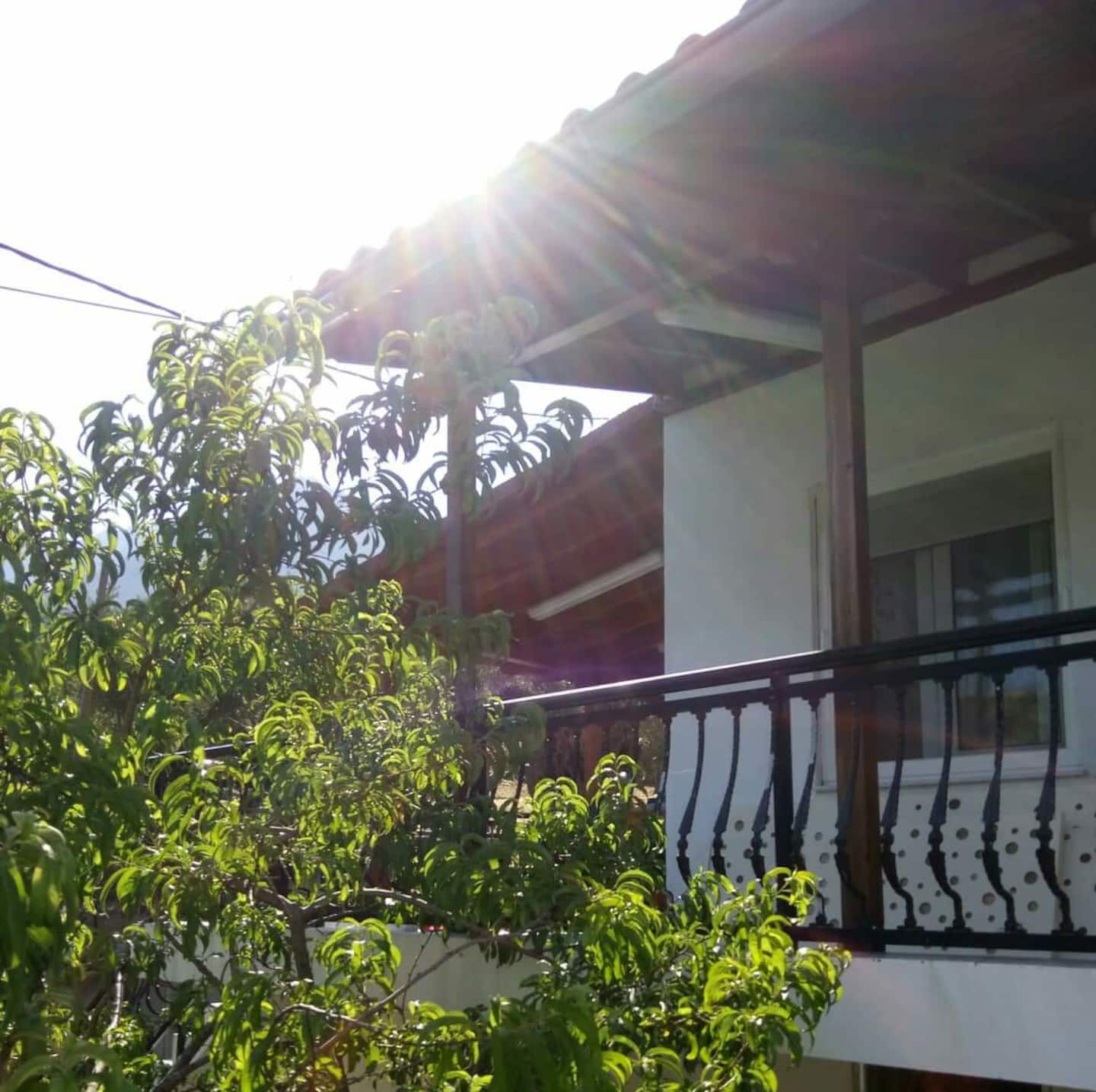 Fanis & Xenia's Residence, φωτογραφία 3
