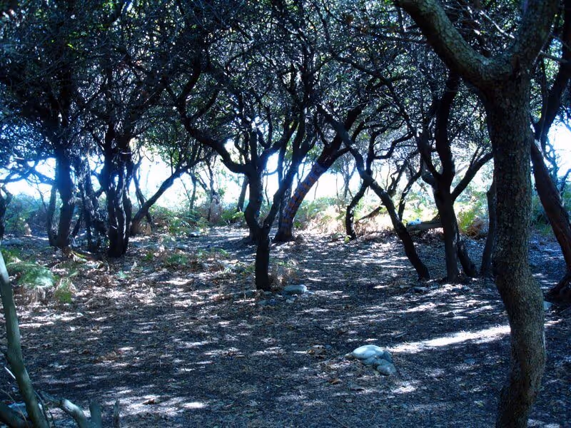 Free Camping in Samothraki, photo 2