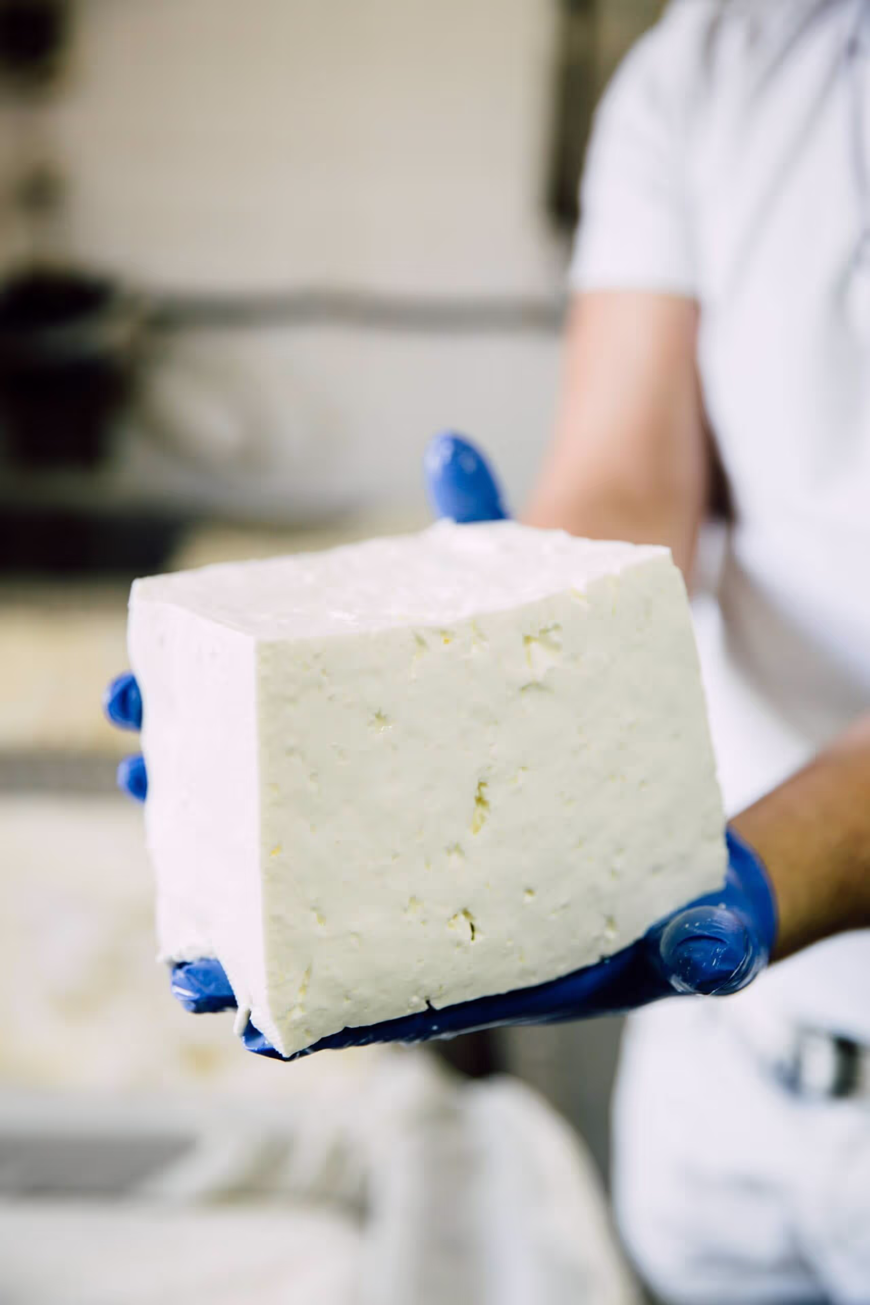 Goat Cheese and Yogurt Farms Samothraki, photo 13