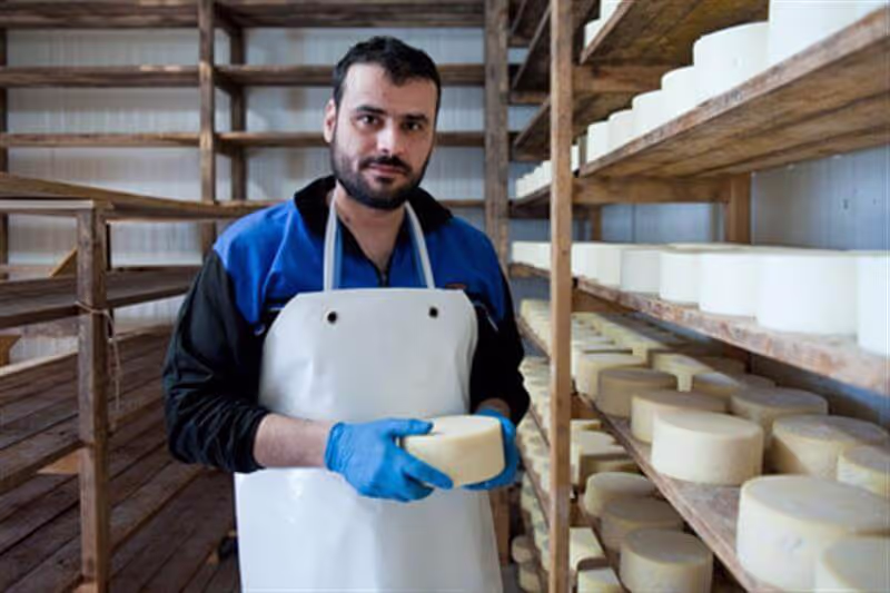Goat Cheese and Yogurt Farms Samothraki, photo 15