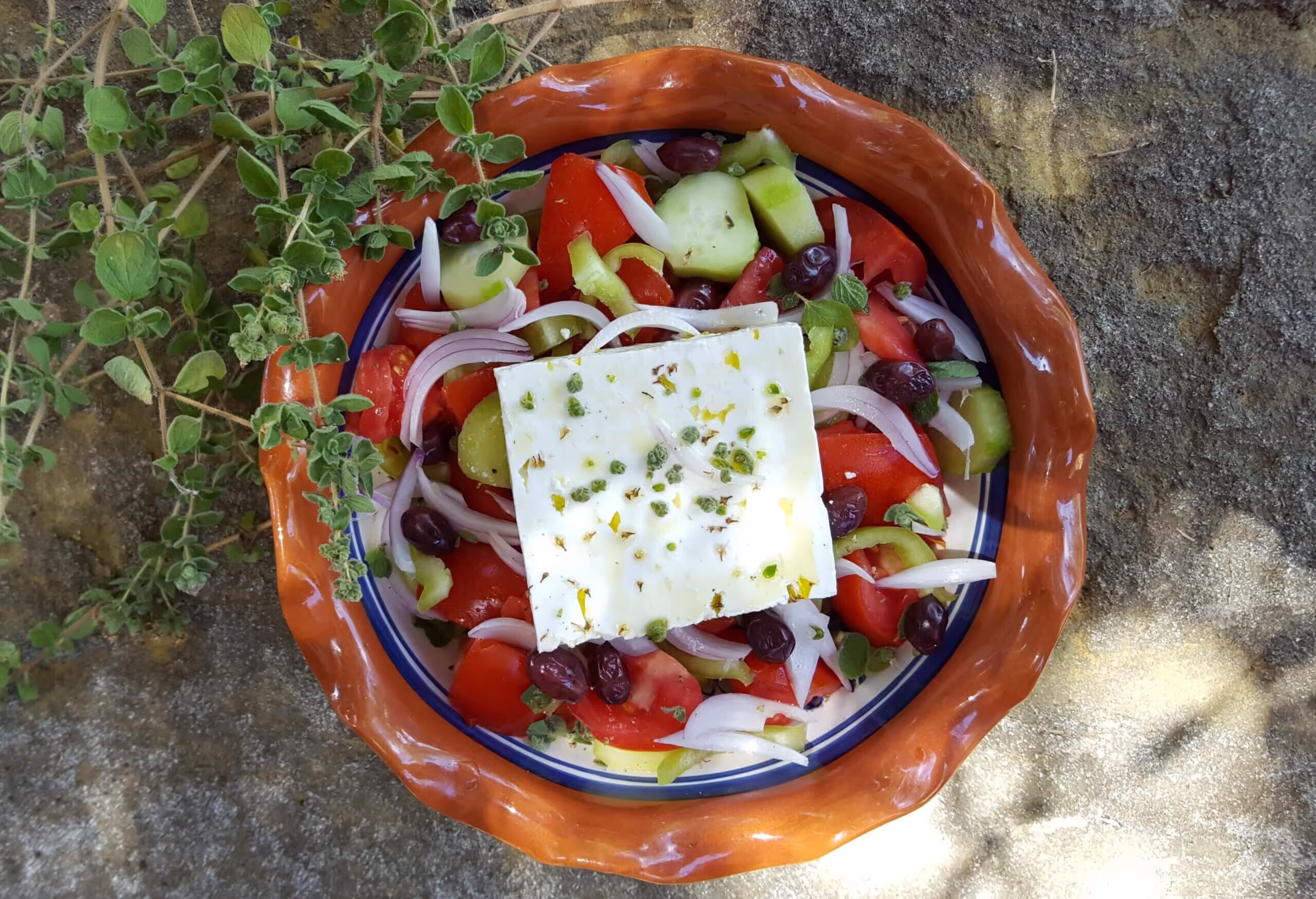 Goat Cheese and Yogurt Farms Samothraki, photo 16