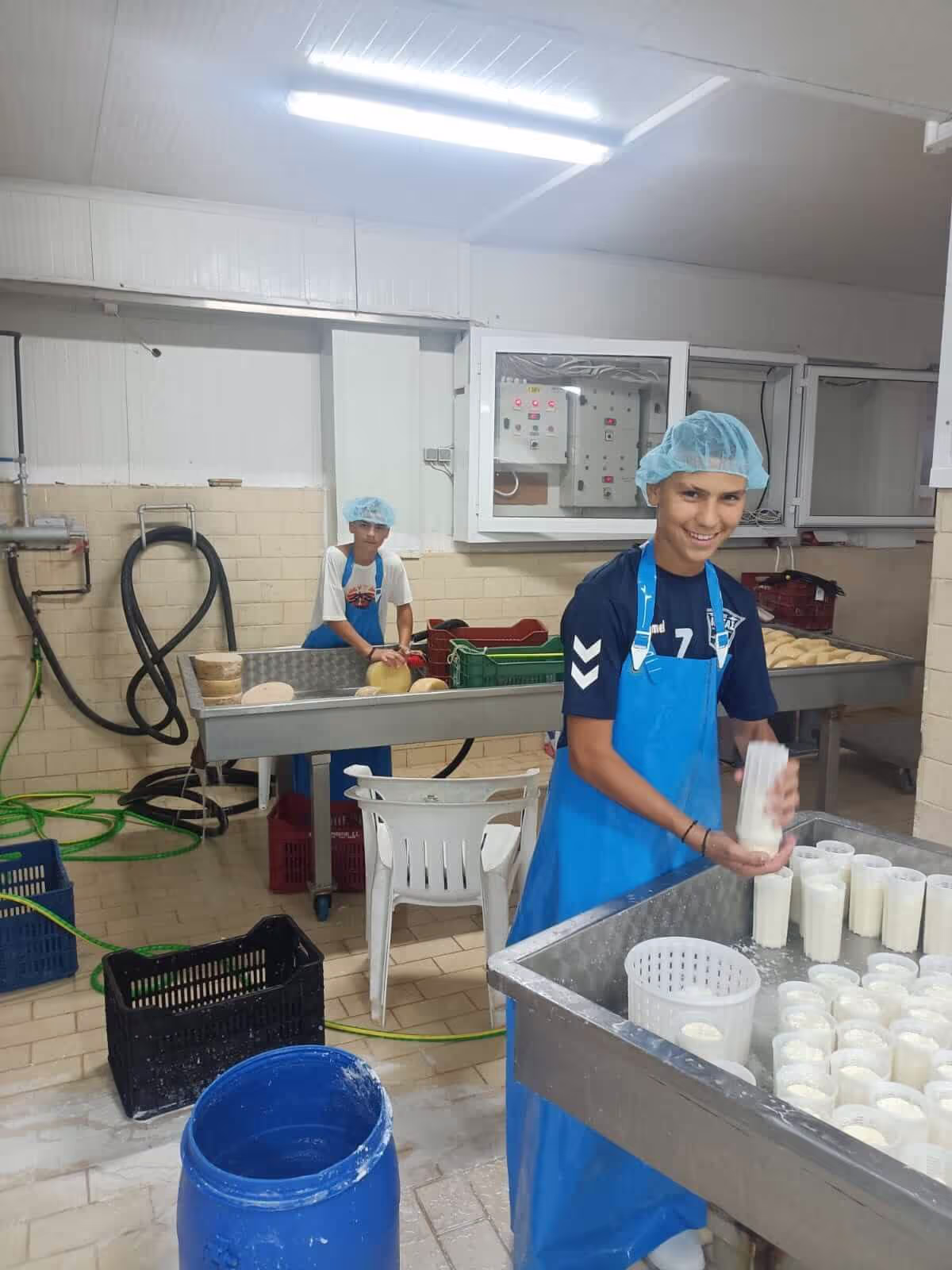 Goat Cheese and Yogurt Farms Samothraki, photo 22