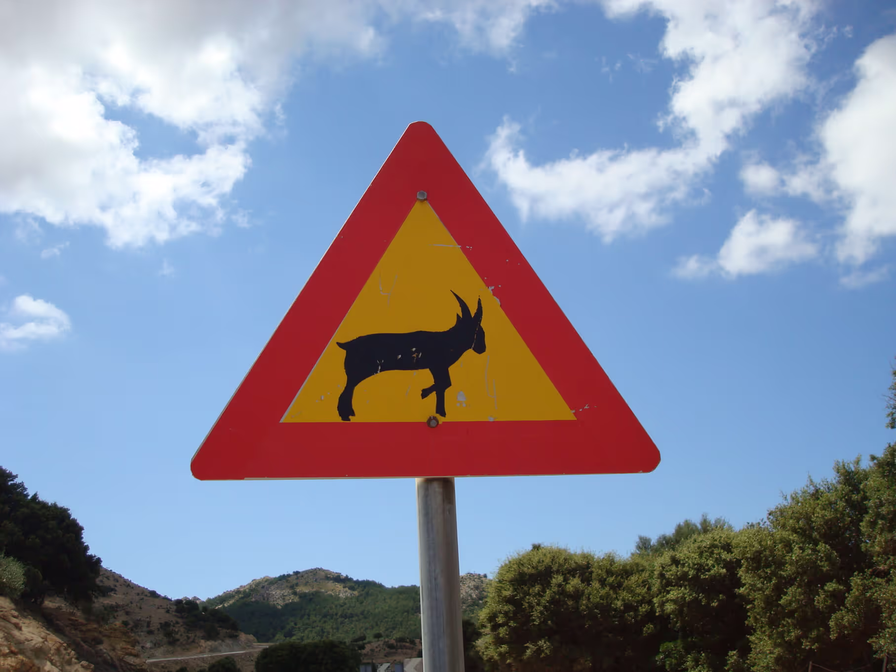 Goat Cheese and Yogurt Farms Samothraki, photo 5