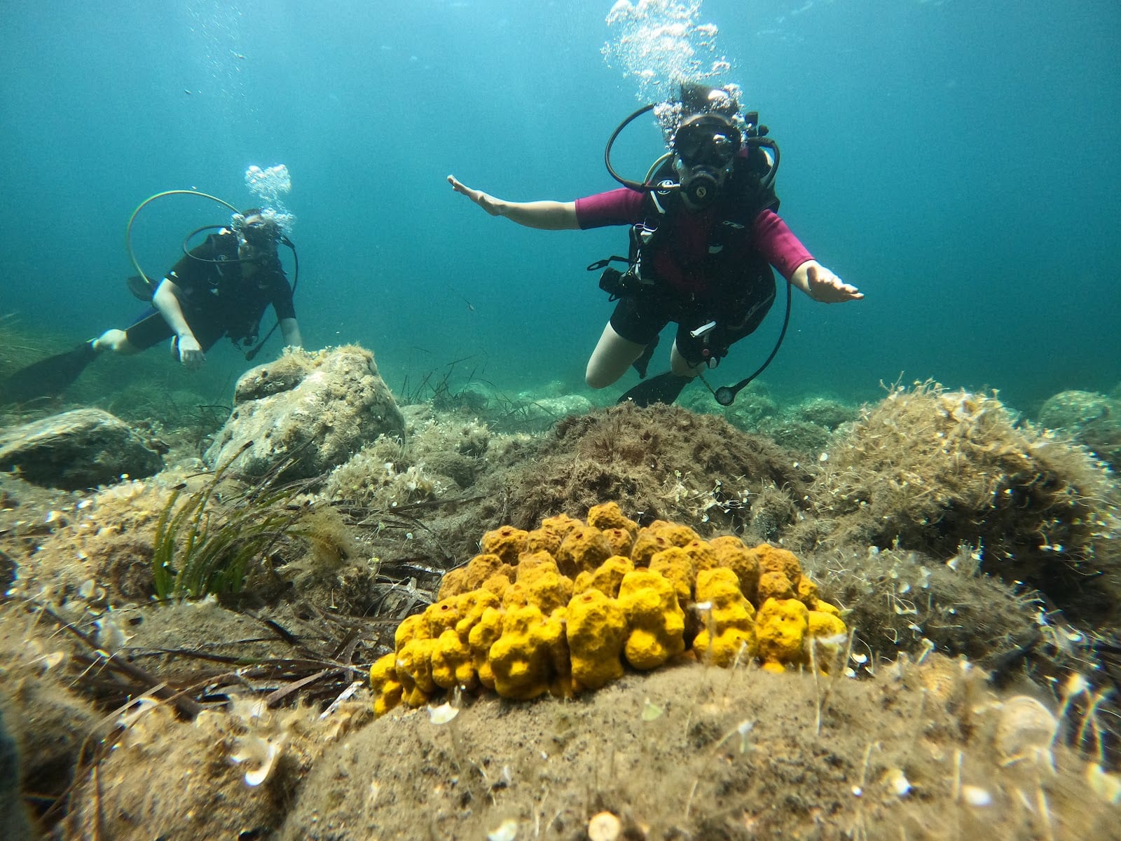 H2O Dive & Fun, φωτογραφία 3