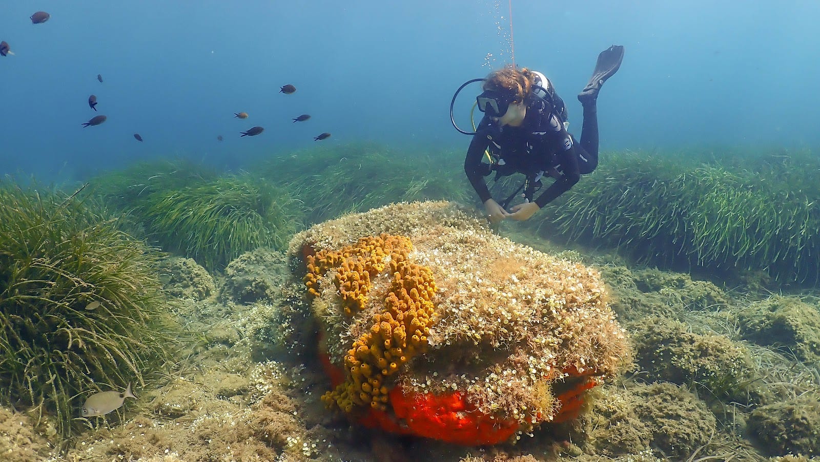 H2O Dive & Fun, φωτογραφία 4