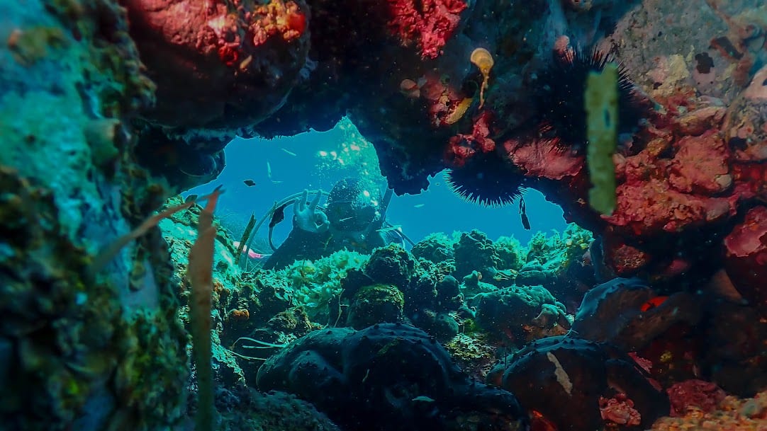 H2O Dive & Fun, φωτογραφία 5