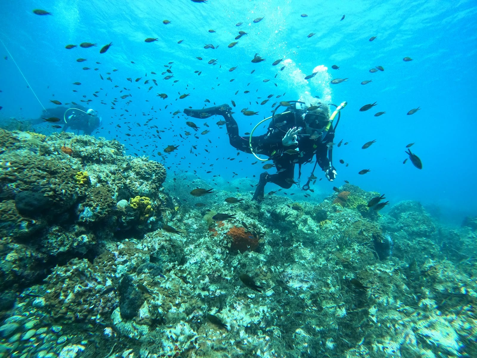 H2O Dive & Fun, φωτογραφία 6