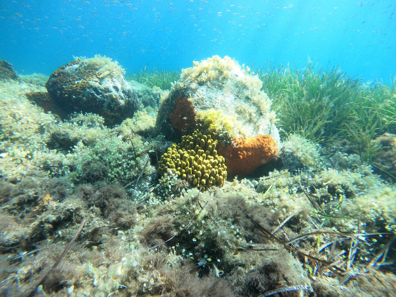 H2O Dive & Fun, φωτογραφία 7