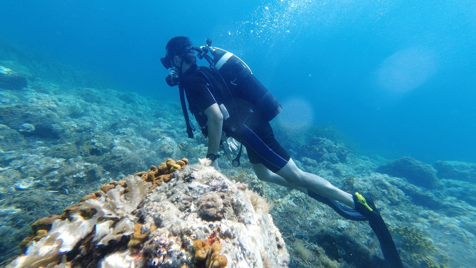 H2O Dive & Fun, φωτογραφία 9
