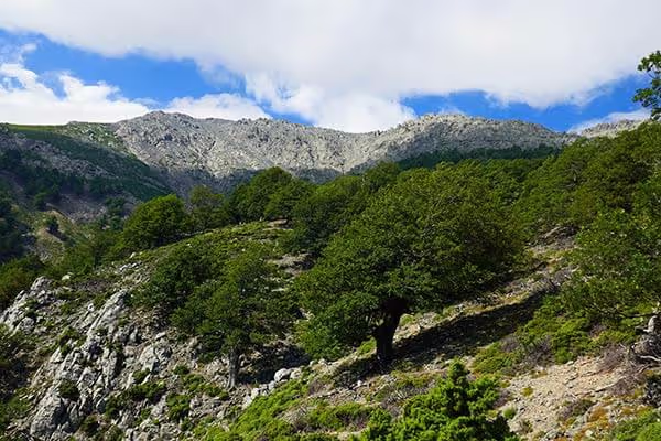 Πεζοπορία στο όρος Σάος και τους Μεγάλους Θεούς, φωτογραφία 12
