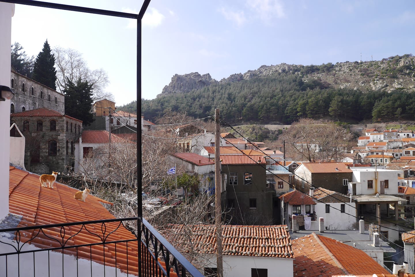 House Levánta, φωτογραφία 14