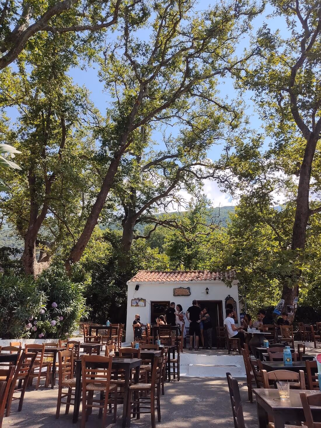 Kafeneio Ta Therma, φωτογραφία 4