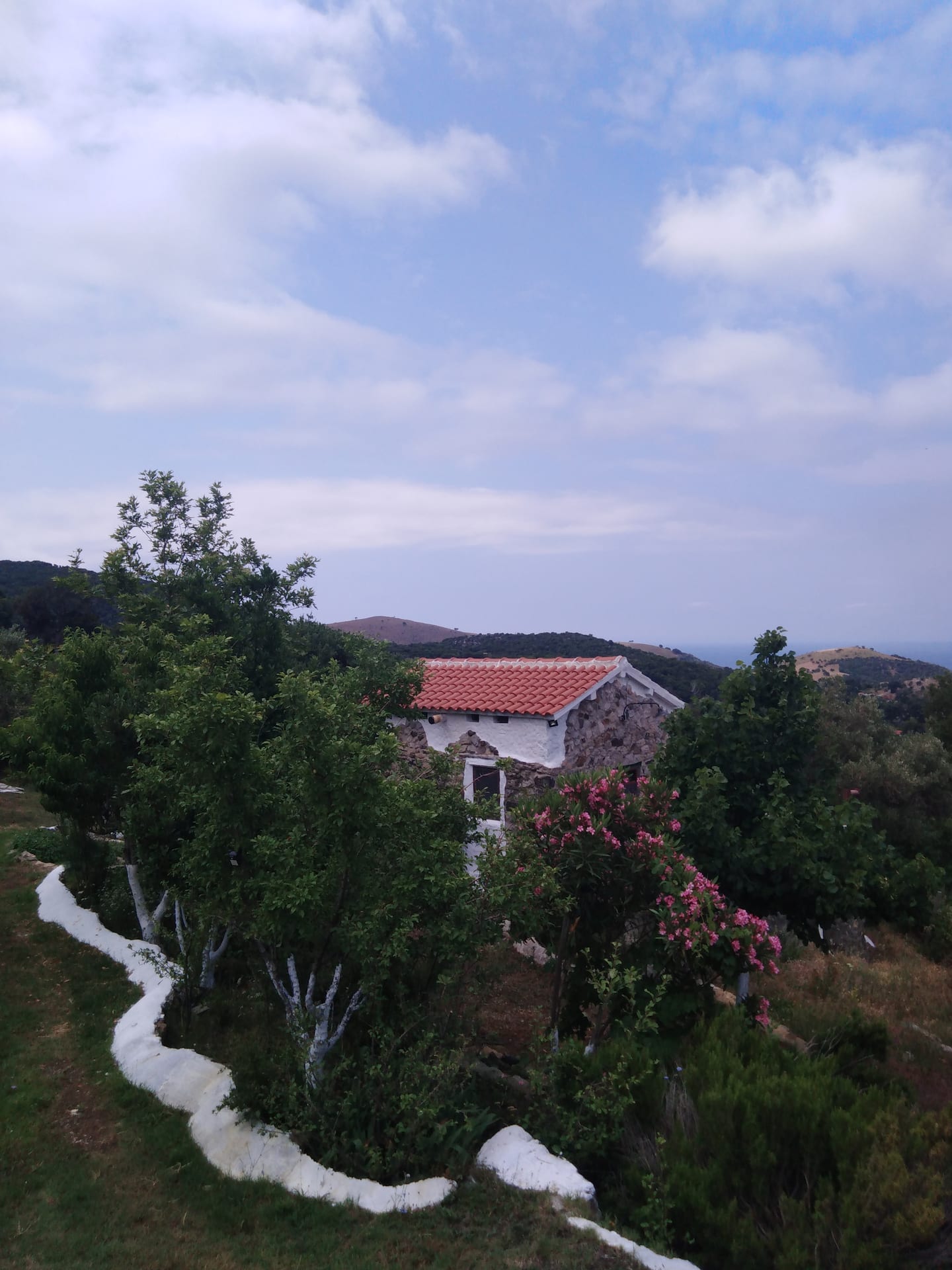Ktima Ampela #23#, photo 3
