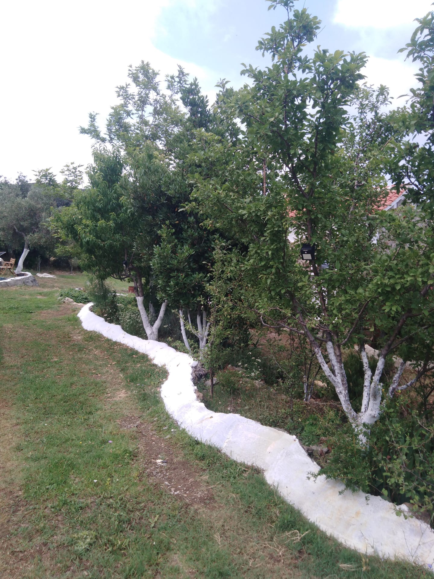 Ktima Ampela #23#, photo 5