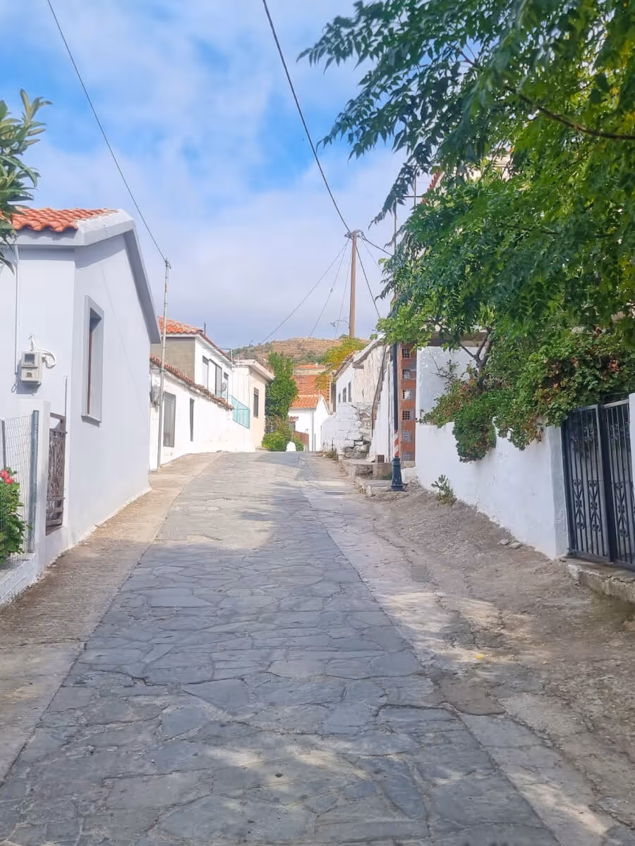 Χωριό Λάκκωμα, φωτογραφία 15