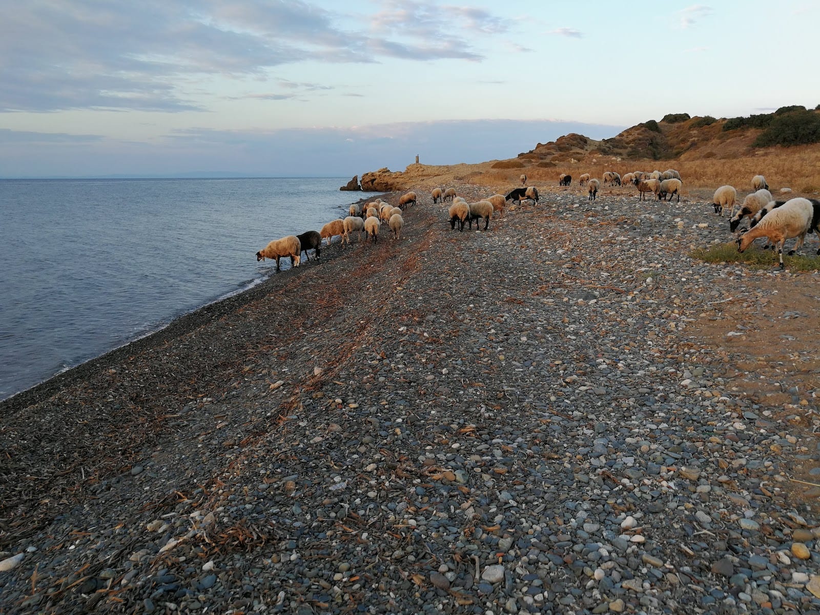 Limnidi Beach Bar (Jazzy Blue), photo 8