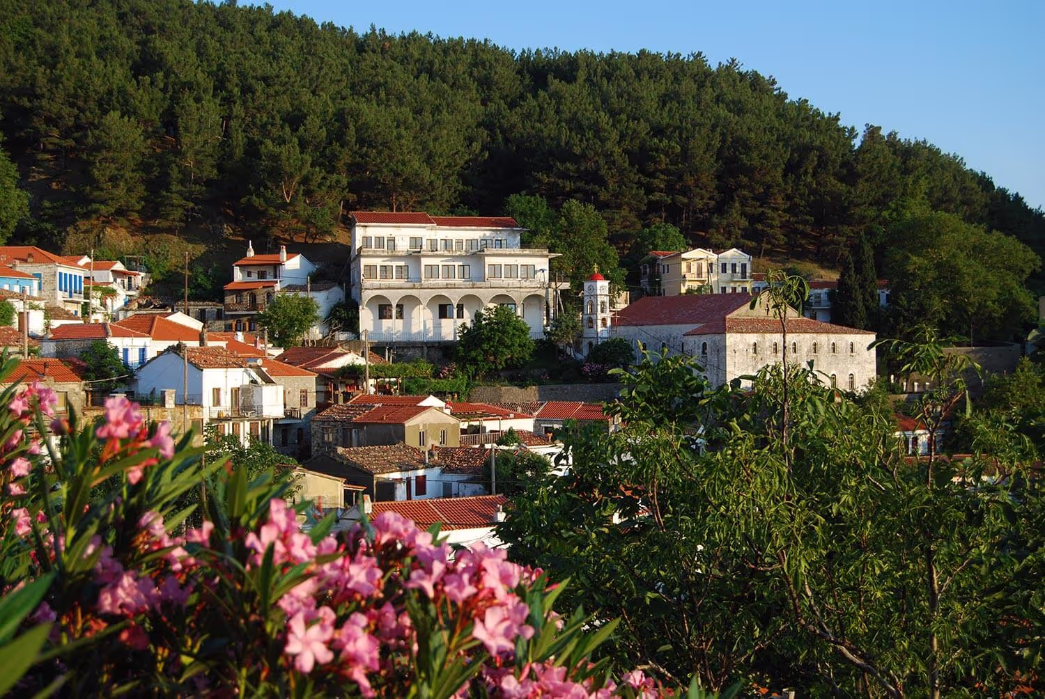 Τα καταπράσινα τοπία της Σαμοθράκης, φωτογραφία 12