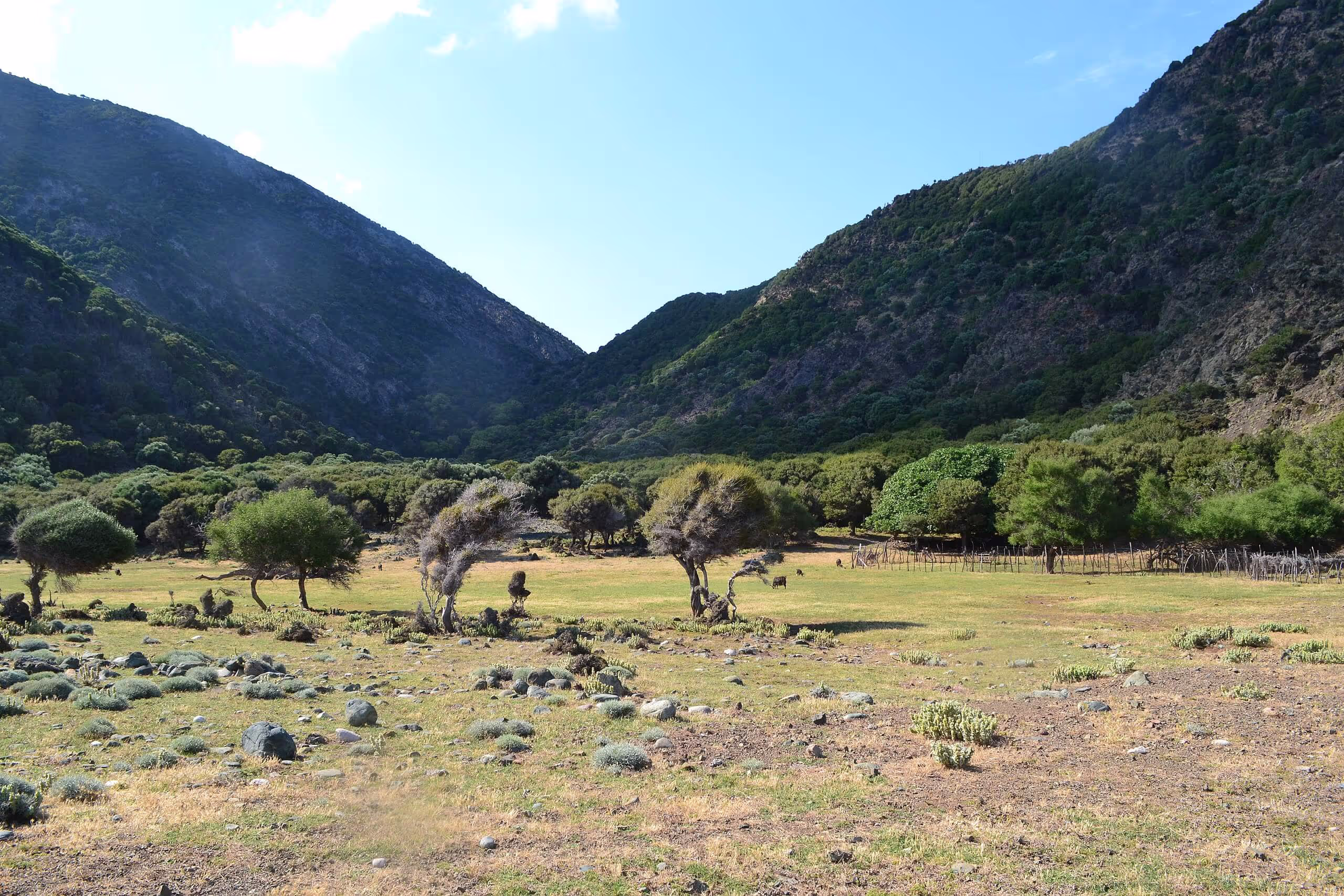 Τα καταπράσινα τοπία της Σαμοθράκης, φωτογραφία 14