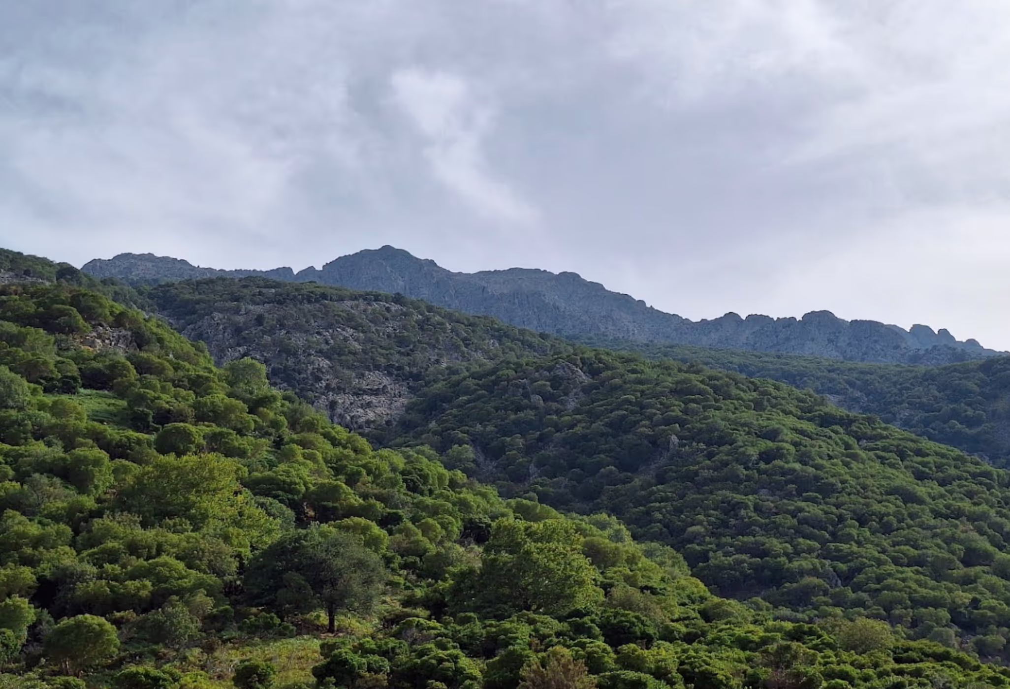 Τα καταπράσινα τοπία της Σαμοθράκης, φωτογραφία 15