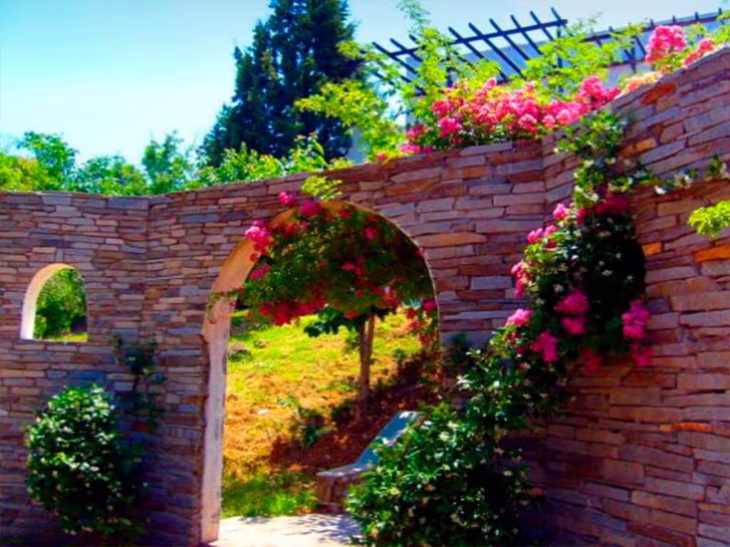 Mariva Bungalows & Yoga Retreat Center, φωτογραφία 3