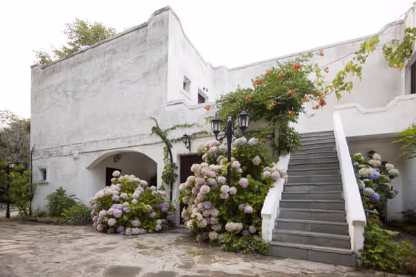 Mariva Bungalows & Yoga Retreat Center, φωτογραφία 9