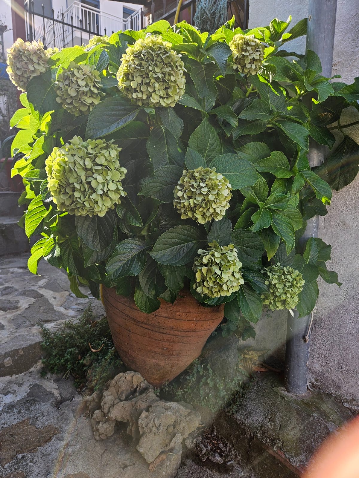 Maro's House, photo 3