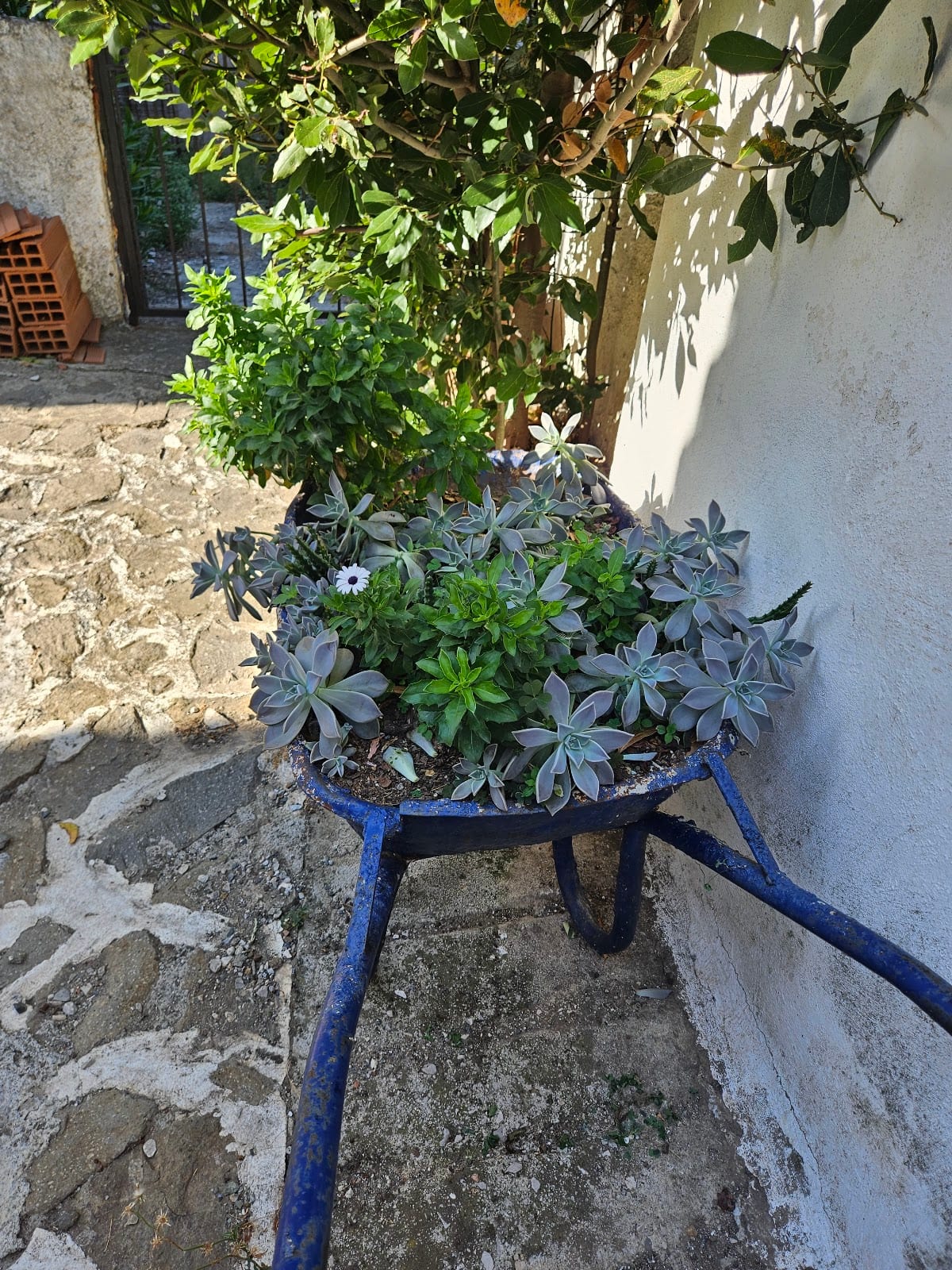 Maro's House, photo 4