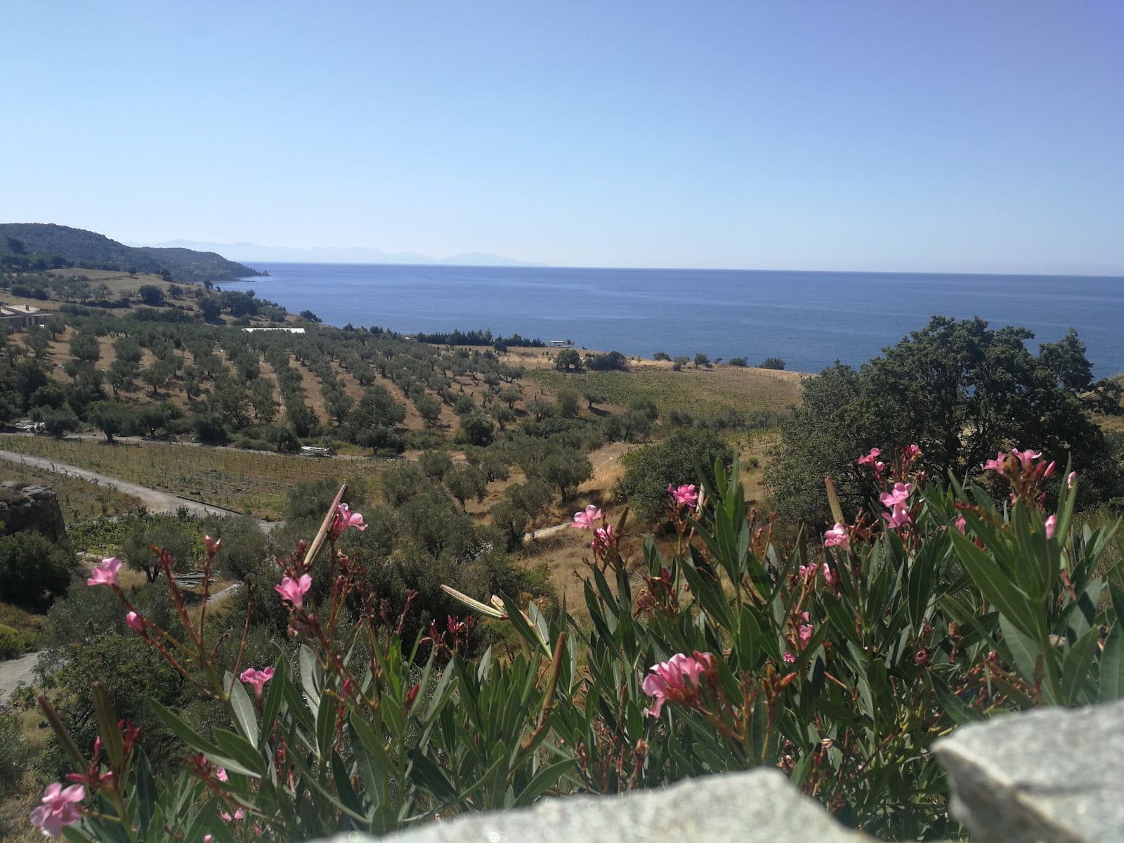 Melmar Winery, photo 3