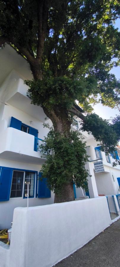 Milisia Rooms, φωτογραφία 9