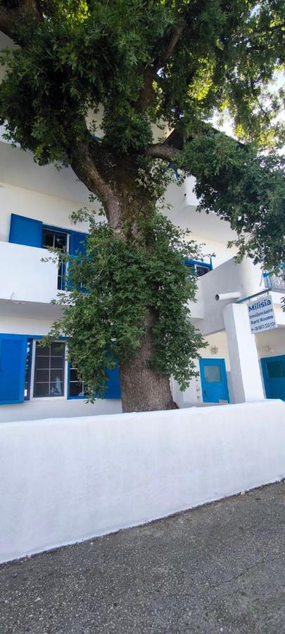 Milisia Rooms, φωτογραφία 10