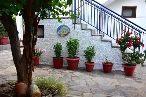 Mirsini Apartments, φωτογραφία 5