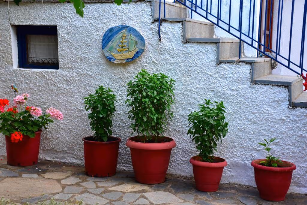 Mirsini Apartments, φωτογραφία 6