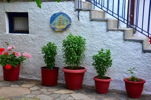 Mirsini Apartments, φωτογραφία 7